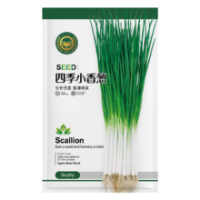 京农研 四季小香葱种子 5g