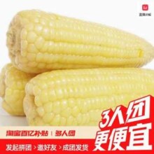 淘宝买菜农场直发 东北白糯玉米 250g*8根