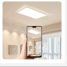 16日20点开始：NVC Lighting 雷士照明 led吸顶灯 全光谱防蓝光防蚊虫 全屋智能白雪