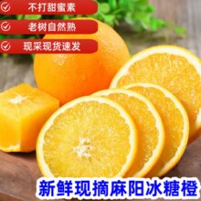 湖南麻阳冰糖橙 毛重5斤 果径60-75mm