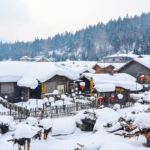 哈尔滨旅游 5天4晚 亚布力滑雪/中国雪乡/冰雪大世界