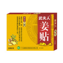 武夫人 颈肩腰腿四季生姜贴10贴