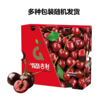 Mr.Seafood 京鲜生 GarcesFruit吉制 智利车厘子 J级5斤礼盒装 果径约26-28mm 源头直发
