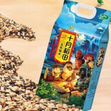 再降价、88VIP：十月稻田 五色糙米 2.5kg