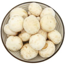 京百味 江苏白蘑菇 450g 简装 新鲜蔬菜