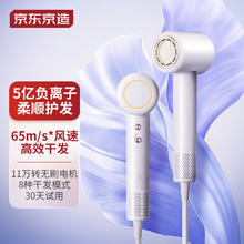 限移动端、京东百亿补贴：京东京造 JZ-HS04 电吹风