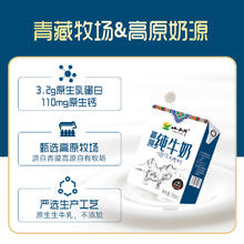 XIAOXINIU 小西牛 纯牛奶 200ml*10盒