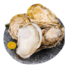 plus会员:乳山牡蛎【源头直发】鲜活乳山生蚝2XL号 海鲜烧烤食材 净重3斤装 10-15只