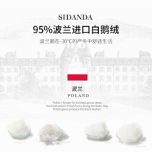 SIDANDA羽绒被波兰95白鹅绒春秋被芯暖气被子加厚冬被全棉抗菌鹅绒被 波兰鹅绒 冬被 200*230cm
