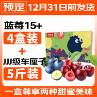 Mr.Seafood 京鲜生 云南蓝莓4盒装（果经15mm+）+JJJ级车厘子5斤装年货礼盒源头直发