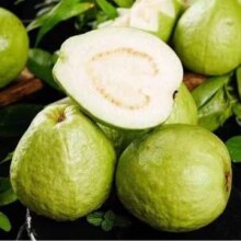 京鲜生 白心芭乐番石榴（单果150g起）净重3斤