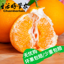 Chamberlain 生活&好管家 四川春见耙耙柑 80mm+ 净重4.5斤