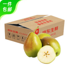 京东百亿补贴:京鲜生 河北酥润香梨 红香酥梨 净重9斤 单果120g+ 生鲜水果 源头直发