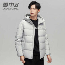 20点：雪中飞 男士鹅绒羽绒服、限大码