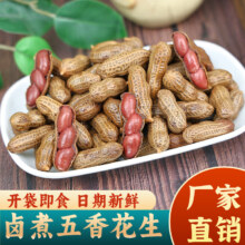 汇恒食品 栗香赞 五香卤汁花生500g*1袋