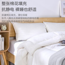 1号会员店100%天然新疆棉花被 纯棉被芯 冬季厚被保暖无网全棉胎1.5x2米6斤