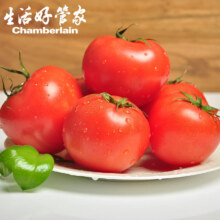 plus会员：生活＆好管家 广西圣女果小个西红柿珍珠圣女果 (5g+)泡沫箱4.5斤装