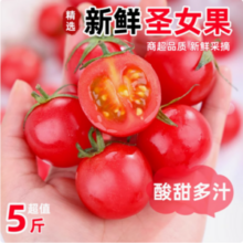 官方国货甄选 现摘新鲜广西小番茄圣女果 5斤