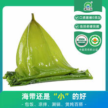 海芝宝 有机深海小海带 1kg