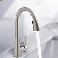 KOHLER 科勒 22867T 抽拉龙头