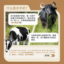 88VIP会员：皇氏乳业 全脂水牛奶200ml*12盒 广西纯牛奶