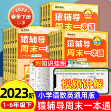 《猿辅导·周末一本通》（2024版、年级/科目/版本任选）