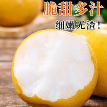 88VIP会员：德沃多 山东秋月梨 单果200-400g