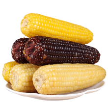 馋半仙 庆阳合水甜糯香玉米 10支*200g （5黑5黄 ）