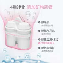 倍世（BWT） 欧洲原装进口露营净水壶自来水过滤家用厨房过滤杯镁离子置换健康净水壶套装1壶带5/8芯锌加镁 【儿童成长推荐】白色一壶5芯(2镁离子+3锌加镁)