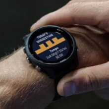 8号、plus:佳明 Forerunner255神秘灰心率血氧HRV跑步铁三游泳户外运动手表