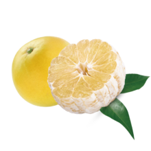 Dole 都乐 黄金葡萄柚2-4粒 2斤装 单果250g+