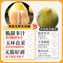 绿念 浙江玉环文旦柚 20斤