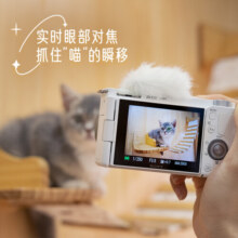 索尼（SONY）ZV-E10L 半画幅微单相机 标准镜头套装  美肤拍照 颜值机身 精准对焦 VLOG APS-C画幅 黑色