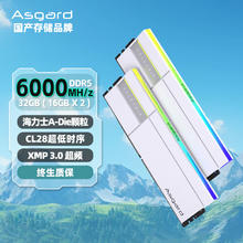 9日20点：Asgard 阿斯加特 32GB(16Gx2)套 DDR5 6000 台式机内存条 RGB灯条-女武神·瓦尔基里Ⅱ代极地白