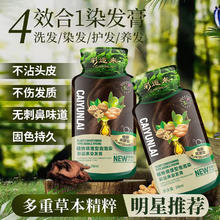 彩运来 植物调理泡泡染发膏-10袋装（自然黑）轻松盖白发