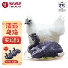 供港品质，天农 山林散养乌凤鸡1.2斤*3只