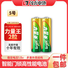 凌力 力量王碱性电池S 5号AA