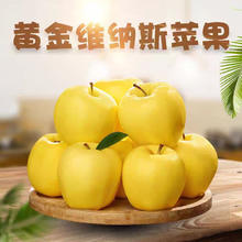 栀舒 黄金维纳斯自带蜂蜜香的苹果 5斤装 8-12个（可返5元）