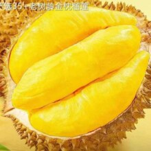 绿鲜森榴莲泰国进口金枕头新鲜榴莲带壳应季水果生鲜 4-5斤（2个果单果3-4房）