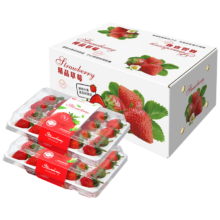PLUS会员：沙窝曙光草莓 99红颜草莓 2盒装净重600g