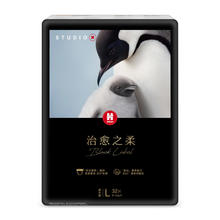 88VIP会员：HUGGIES 好奇 治愈之柔系列 拉拉裤 L32片