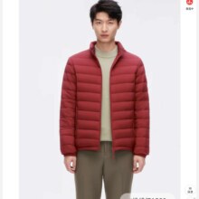 再补券、京东百亿补贴、plus会员：波司登 轻薄立领保暖羽绒服男款