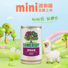 Somersby 夏日纷果味气泡酒 200ml*12瓶