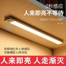 KATT GATT 卡特加特 KattGatt 卡特加特 LED智能感应灯 自然光 人体+柔光+常亮 20cm