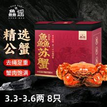 XIAN YAO 鱻谣 大闸蟹鲜活螃蟹 全公3.3-3.6两 8只装 生鲜活蟹礼盒现货