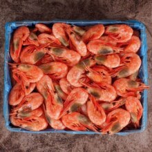 PLUS会员：鲜拔头筹 海藻头北极甜虾 4斤礼盒装