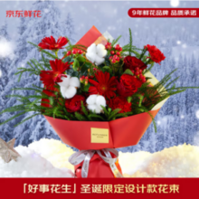 京东鲜花X花点时间 好事花生 圣诞节设计款鲜花花束