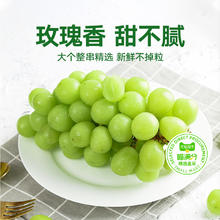 88VIP会员：喵满分 阳光玫瑰葡萄晴王香印青提子整箱云南当季新鲜水果