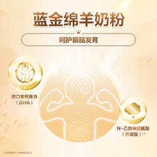 BLUE RIVER 蓝河 蓝金 儿童绵羊奶粉 4段 700g