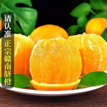 【到手13.51】5斤正宗赣南脐橙